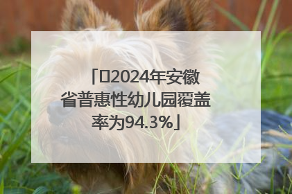 ﻿2024年安徽省普惠性幼儿园覆盖率为94.3%