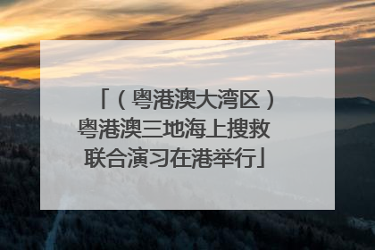 （粤港澳大湾区）粤港澳三地海上搜救联合演习在港举行