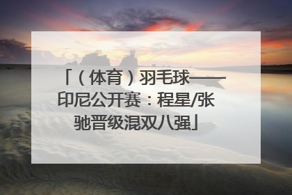 （体育）羽毛球——印尼公开赛：程星/张驰晋级混双八强