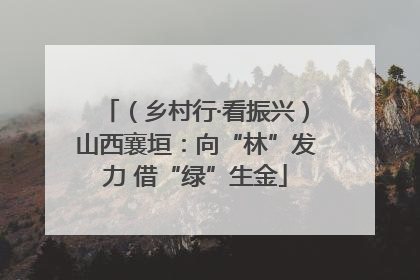 （乡村行·看振兴）山西襄垣：向“林”发力 借“绿”生金