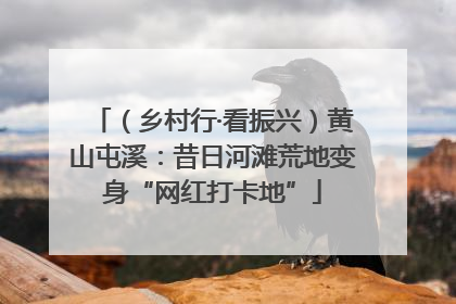 （乡村行·看振兴）黄山屯溪：昔日河滩荒地变身“网红打卡地”