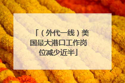 （外代一线）美国最大港口工作岗位减少近半