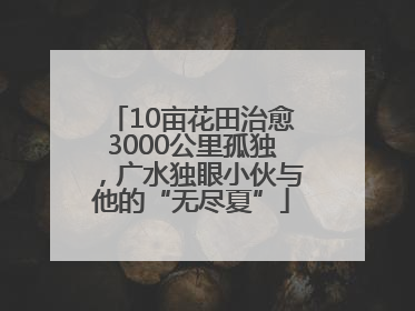 10亩花田治愈3000公里孤独，广水独眼小伙与他的“无尽夏”