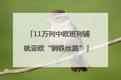 11万列中欧班列铺就亚欧“钢铁丝路”