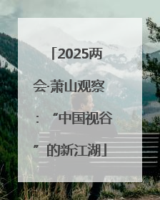 2025两会·萧山观察：“中国视谷”的新江湖