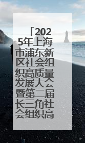 2025年上海市浦东新区社会组织高质量发展大会暨第二届长三角社会组织高质量发展峰会成功举办