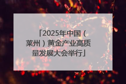 2025年中国（莱州）黄金产业高质量发展大会举行