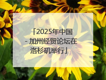 2025年中国－加州经贸论坛在洛杉矶举行