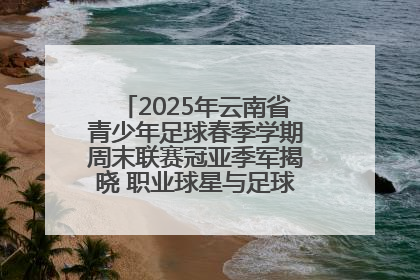 2025年云南省青少年足球春季学期周末联赛冠亚季军揭晓 职业球星与足球小将共享荣耀时刻