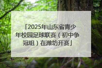 2025年山东省青少年校园足球联赛(初中争冠组)在潍坊开赛