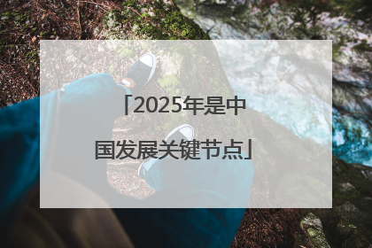 2025年是中国发展关键节点