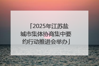 2025年江苏盐城市集体协商集中要约行动推进会举办