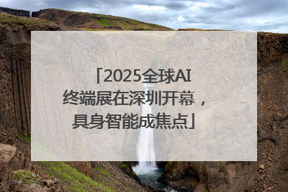 2025全球AI终端展在深圳开幕，具身智能成焦点