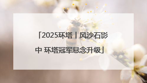2025环塔丨风沙石影中 环塔冠军悬念升级