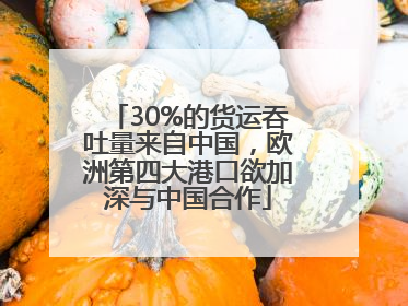 30%的货运吞吐量来自中国，欧洲第四大港口欲加深与中国合作