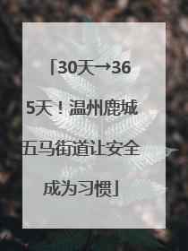 30天→365天！温州鹿城五马街道让安全成为习惯