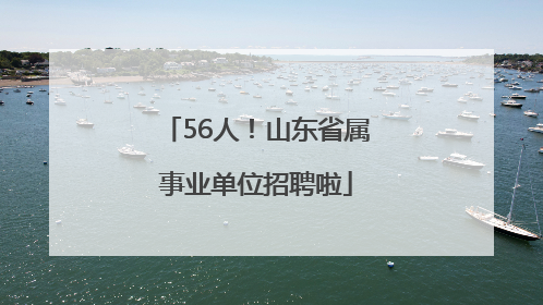 56人！山东省属事业单位招聘啦