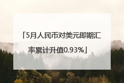 5月人民币对美元即期汇率累计升值0.93%