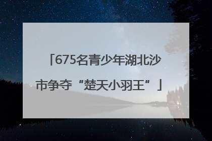 675名青少年湖北沙市争夺“楚天小羽王”