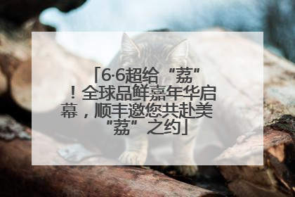 6·6超给“荔”！全球品鲜嘉年华启幕，顺丰邀您共赴美“荔”之约