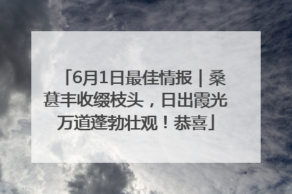 6月1日最佳情报｜桑葚丰收缀枝头，日出霞光万道蓬勃壮观！恭喜