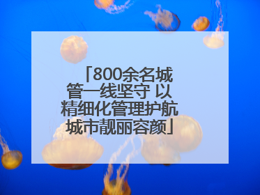 800余名城管一线坚守 以精细化管理护航城市靓丽容颜
