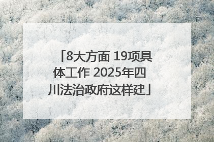 8大方面 19项具体工作 2025年四川法治政府这样建