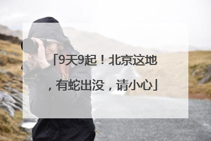 9天9起！北京这地，有蛇出没，请小心