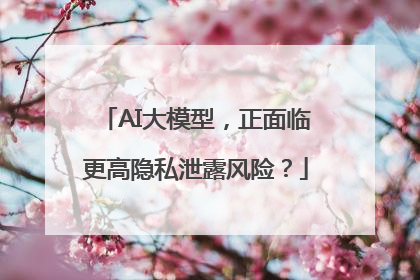 AI大模型，正面临更高隐私泄露风险？