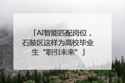 AI智能匹配岗位，石鼓区这样为高校毕业生“职引未来”