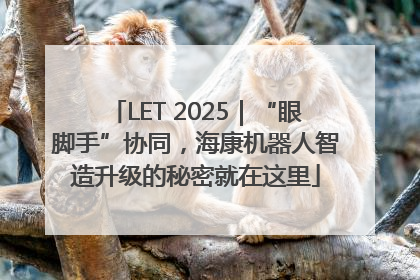 LET 2025｜“眼脚手”协同，海康机器人智造升级的秘密就在这里
