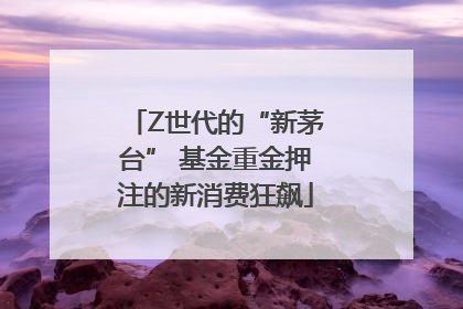 Z世代的“新茅台” 基金重金押注的新消费狂飙